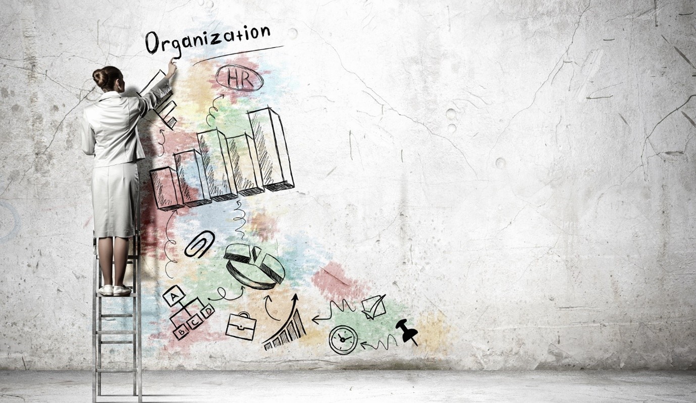 תרבות ארגונית11